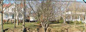 Across the street
