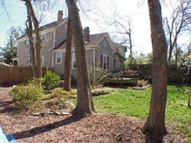Backyard